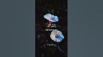 سورة الحشر| القارئ ياسر الدوسري