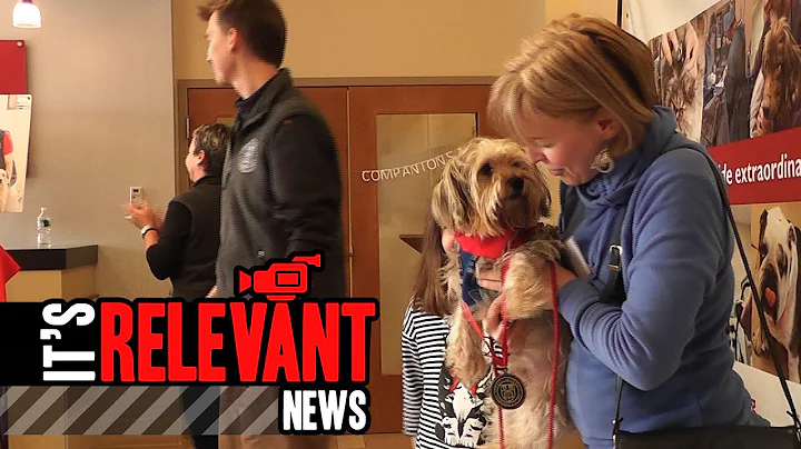 CUVS Recognizes Pets Who Beat the Odds