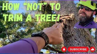 Shocking Tree Pruning Errors You Must Avoid
