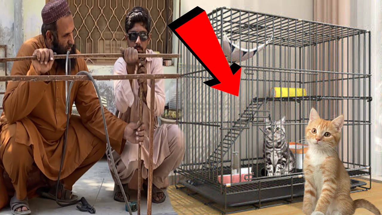 Manufacturing cat cage  iş ıslamabad cat house  | cat cage || 