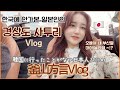 🇯🇵한국에 가본적 없는 일본인 예비신부의 경상도 사투리 2 😂 韓国に行った事がない日本人がアメリカで釜山方言で会話するVlog笑🇰🇷