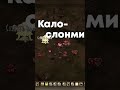 Выжить ЛЮБОЙ ценой!