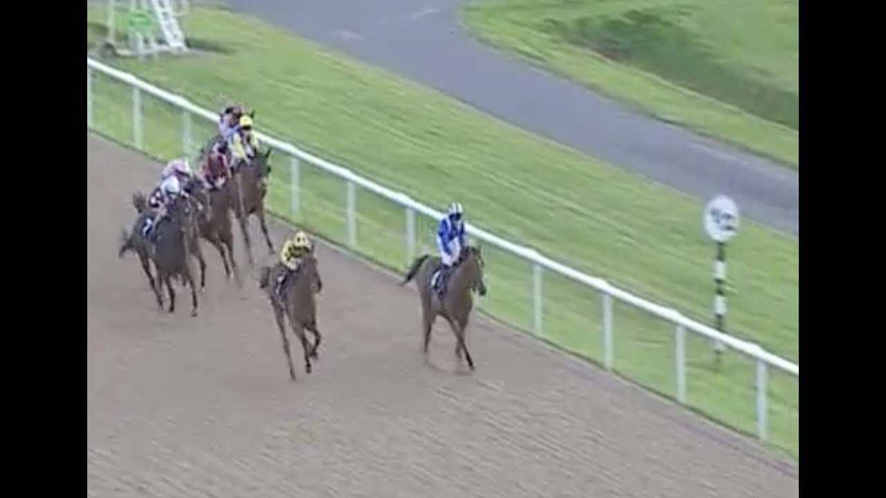 Horse Racing Death 89 - Malakky at Wolverhampton Racecourse