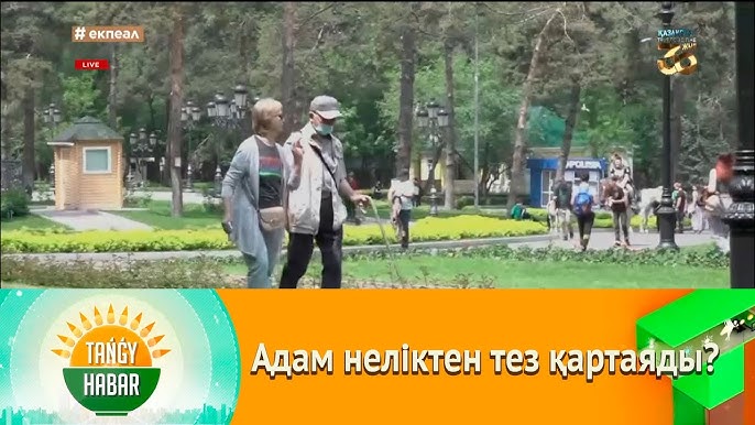 Мысық порно