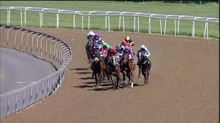 Vidéo de la course PMU PRIX DOWNLOAD THE TABGOLD INFORMATION APP MAIDEN PLATE