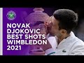 Novak Djokovic Best Shots of Wimbledon 2021