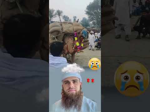 ليس مؤلما ثقل الحمل بل قسوة من لا يرحم حامله حلاتواتس عبارات هشتاجت