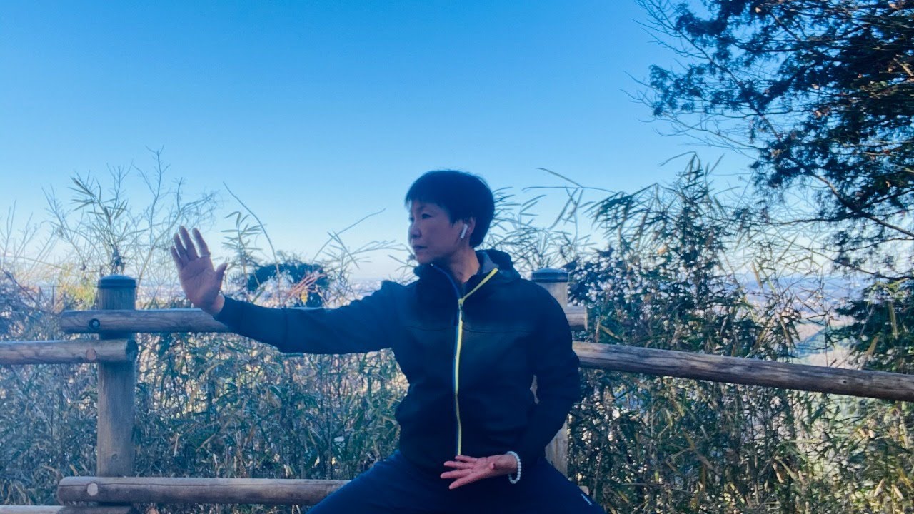 Lesson 66 health Qigong &Chen Style Taiji 健身気功＆陳式太極拳
