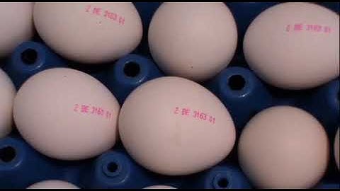 Getra - Eieren coderen met Videojet 1220 printer