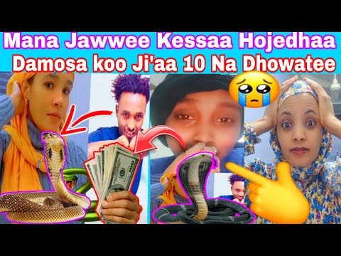 Mana Jawwee Kessaa Hojedhaa Damos Ji Aa 10 Na Dhowatee 