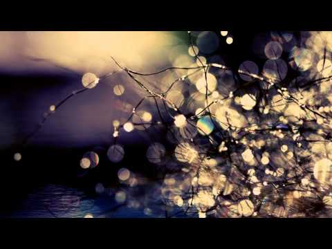 Chrysopoeia Video