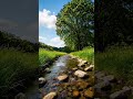 “Whispers of the Crystal River”