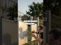 From Twilight to Terrace: A Beginner Solar Outdoor Lighting Plan