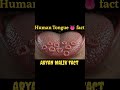 👅 Amazing Human Tongue Fact! 🤯Kya aap jaante ho?🚀#AryanMalikFact #HumanTongue #Shorts #viral