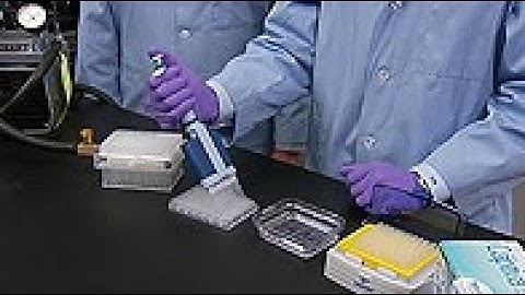 Sample preparation in a bioanalytical workflow – part 1