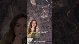 From Bare To Green In Just 5 Years