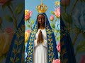 Bênção da manhã a Nossa Senhora Aparecida