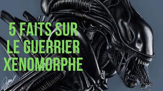 5 FACTS ABOUT THE XENOMORPH WARRIOR #AlienWarrior