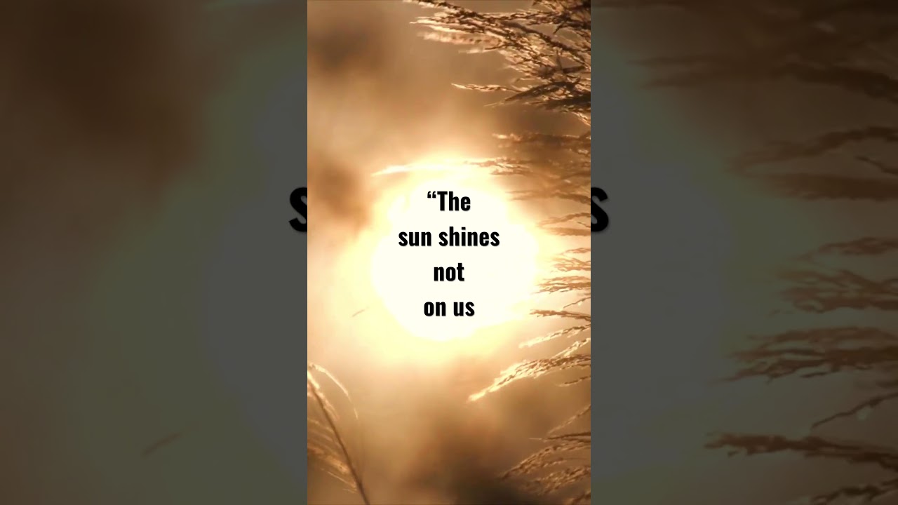 The SUN’s energy in YOU ☀️| John Muir | ✍️ Inspirational Quotes 