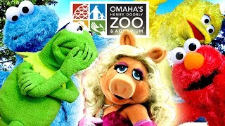 Elmo Kermit The Frog and Cookie Monster Meet Mrs Piggy at the ZOO!