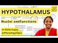 Hypothalamic nuclei and their functions physiology  cns physiology