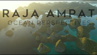 Raja Ampat | 4K | Ocean Perspectives EP36