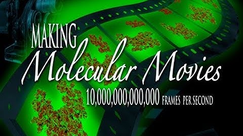 Public Lecture—Making Molecular Movies: 10,000,000,000,000 Frames per Second