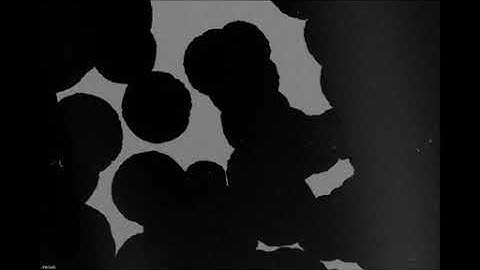 Magnetic Domain Wall propagation