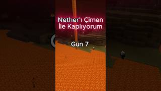 Minecraft Nether&#39;ı Yeşillendiriyorum Gün 7 #minecraft #shorts #minecraftama