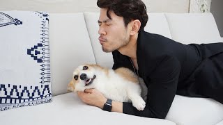 Eng) What happens if dog met cat's butler?!