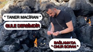 TANER MACİRAN Gule Dersimdir TİKTOK CANLI YAYIN @tulaymaciran3988 Resimi