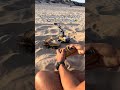 Brought my Tobouy RC Excavator to the beach #rc #rccars
