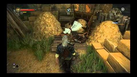 The Witcher 2: " I guess they