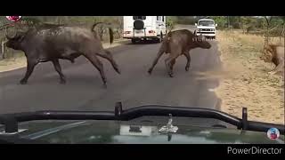 Ravan Ravan Hu Ma Stats Op Status