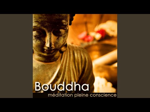Tonton Comment méditer (Musique douce) di YouTube