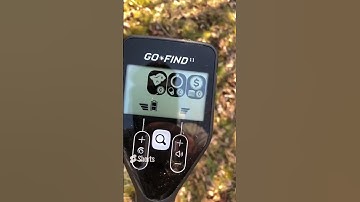 Minilab GO*FIND 11 #detector s @DjMartyHP