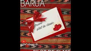 Pilot classic-Barua
