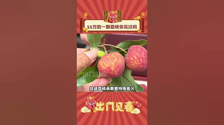 一颗荔枝竟然能卖到55万！#娱乐评论  #荔枝 #top #挂绿荔枝王 #shorts  #出门见喜 #litchi #fruit #