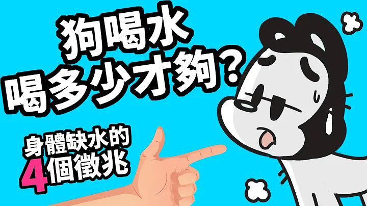 狗与鹿｜狗喝水，喝多少才够？狗狗隐性缺水看身体这个地方｜炎炎夏季快到了，狗狗补水特辑！ - 天天要闻