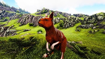 Procoptodon Taming and All Its Features ARK English