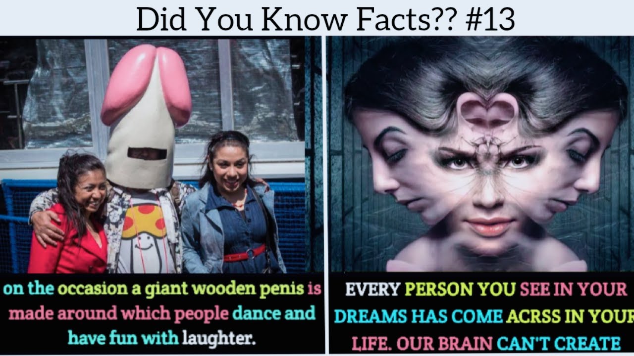 Did You Know Facts 13 Amazing Random Facts You Should Know Interesting Facts Wholesome 