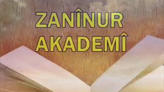 Danasîna Zanînnur Akademî