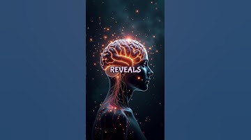 Bouncing Back Stronger: The Science of Resilience After Rock Bottom