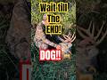 Can I pet that DOG?!? #funny #shortsyoutube #shortsviral #shortvideo #shortsfeed #bows #archery