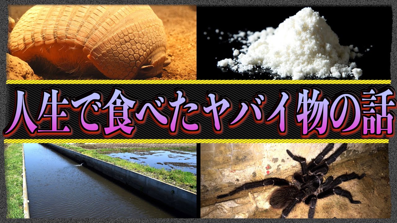 【泥・虫】人間が食べられる珍しい物●選！【薬品】