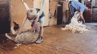 Charlie the Shearing Kid - Behind the News