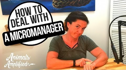 How To Deal With a Micromanager