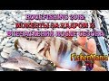 ROCKFISHING 2018 #6: ПОСЛЕДНЯЯ РЫБАЛКА И МОМЕНТЫ ЗА КАДРОМ