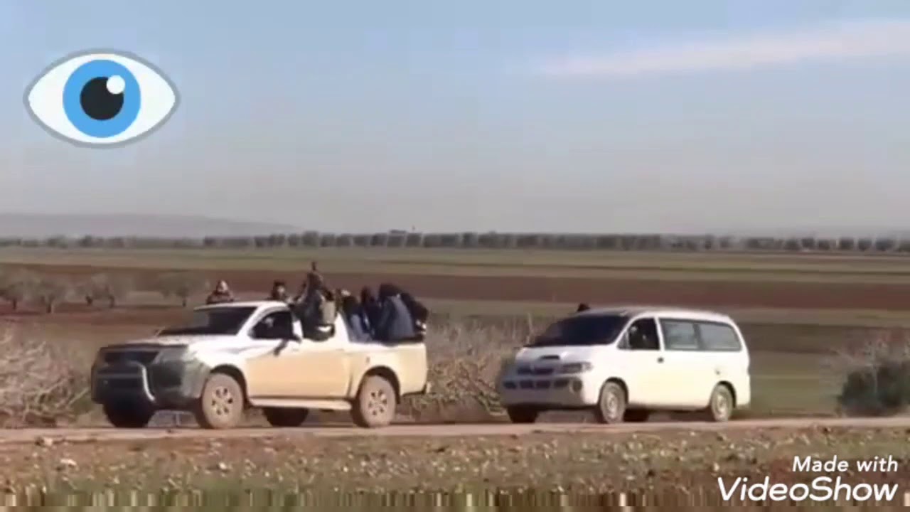 اسود مارع الصمود