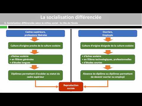 Vidéo: Quel est le processus de différenciation ?